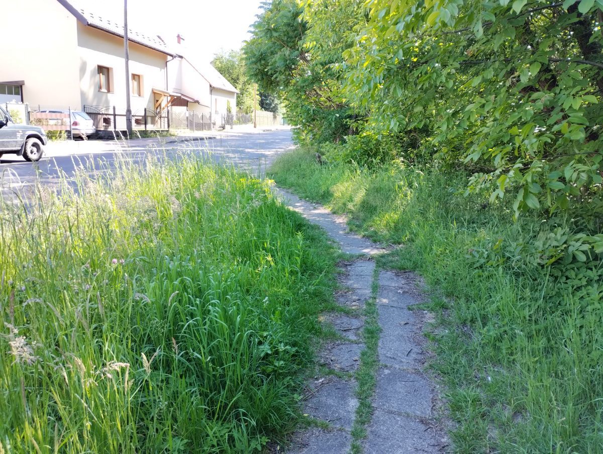 Dlaczego koszenie trawy w gminie Andrychów ruszyło z opóźnieniem?
